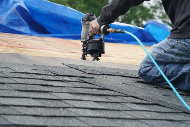 Best Solar Panel Roofing Installation  in Eureka Springs, AR